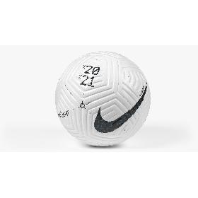 3D Nike Flight Ball model